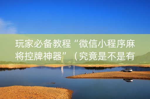玩家必备教程“微信小程序麻将控牌神器”（究竟是不是有挂)
