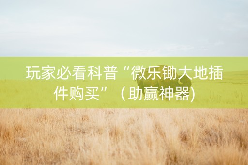 玩家必看科普“微乐锄大地插件购买”（助赢神器)