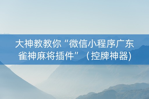大神教教你“微信小程序广东雀神麻将插件”（控牌神器)