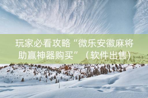 玩家必看攻略“微乐安徽麻将助赢神器购买”（软件出售)