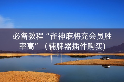必备教程“雀神麻将充会员胜率高”（辅牌器插件购买)