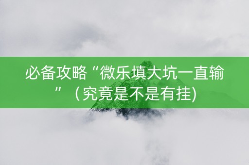 必备攻略“微乐填大坑一直输”（究竟是不是有挂)
