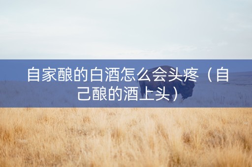 自家酿的白酒怎么会头疼（自己酿的酒上头）