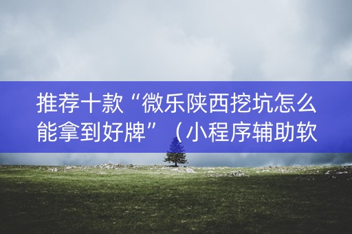 推荐十款“微乐陕西挖坑怎么能拿到好牌”（小程序辅助软件)