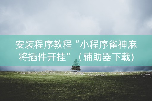 安装程序教程“小程序雀神麻将插件开挂”（辅助器下载)