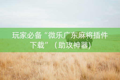 玩家必备“微乐广东麻将插件下载”（助攻神器)