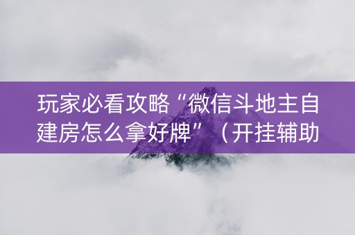 玩家必看攻略“微信斗地主自建房怎么拿好牌”（开挂辅助插件)