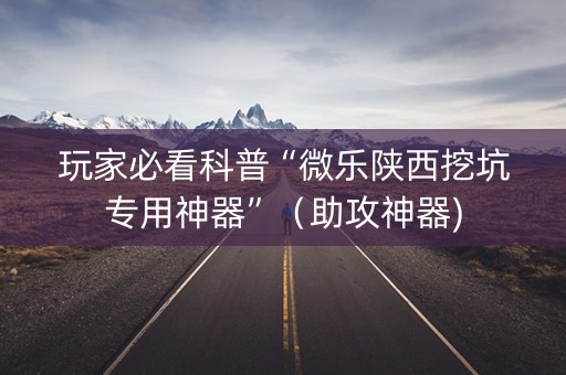 玩家必看科普“微乐陕西挖坑专用神器”（助攻神器)