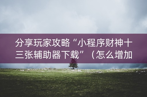 分享玩家攻略“小程序财神十三张辅助器下载”（怎么增加胜率)