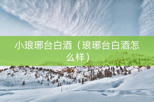 小琅琊台白酒（琅琊台白酒怎么样）