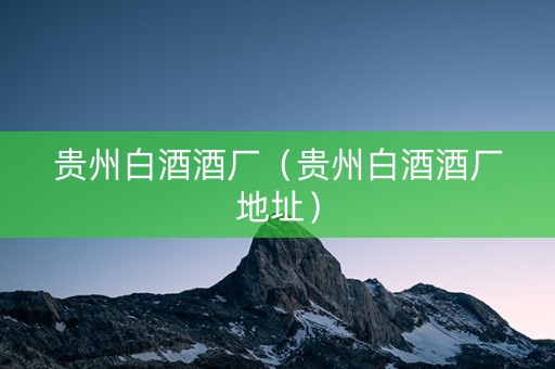 贵州白酒酒厂（贵州白酒酒厂地址）