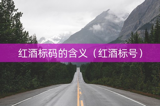 红酒标码的含义（红酒标号）
