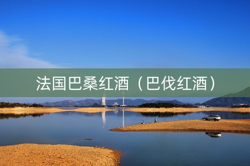 法国巴桑红酒（巴伐红酒）