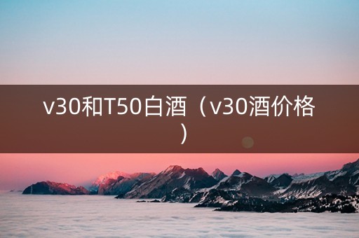 v30和T50白酒（v30酒价格）