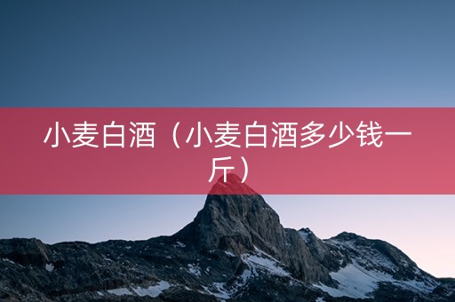 小麦白酒（小麦白酒多少钱一斤）