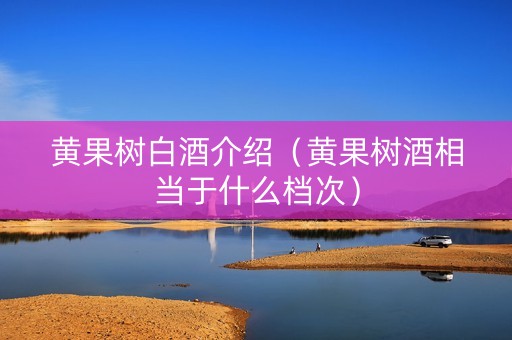 黄果树白酒介绍（黄果树酒相当于什么档次）