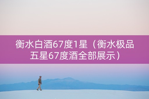 衡水白酒67度1星（衡水极品五星67度酒全部展示）
