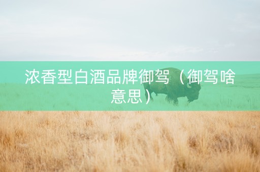 浓香型白酒品牌御驾（御驾啥意思）