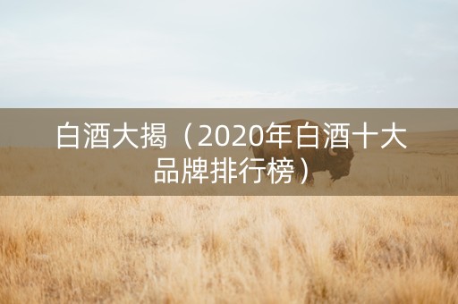 白酒大揭（2020年白酒十大品牌排行榜）