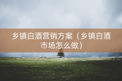 乡镇白酒营销方案（乡镇白酒市场怎么做）