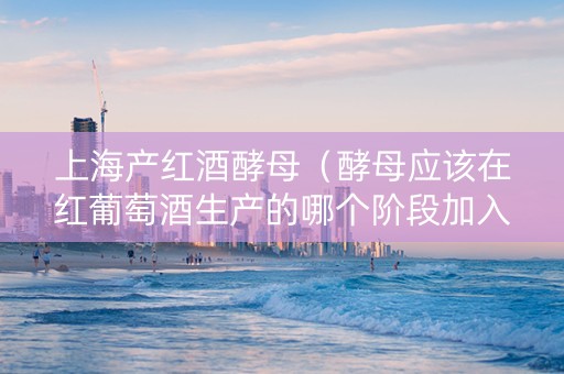 上海产红酒酵母（酵母应该在红葡萄酒生产的哪个阶段加入）