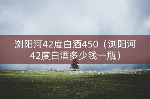 浏阳河42度白酒450（浏阳河42度白酒多少钱一瓶）