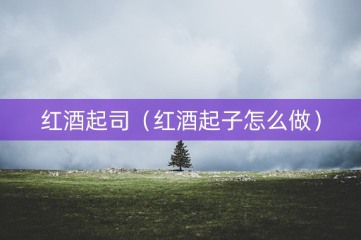 红酒起司（红酒起子怎么做）