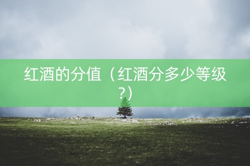 红酒的分值（红酒分多少等级?）