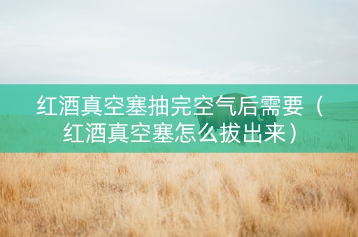 红酒真空塞抽完空气后需要（红酒真空塞怎么拔出来）