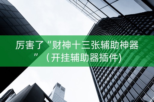 厉害了“财神十三张辅助神器”（开挂辅助器插件)