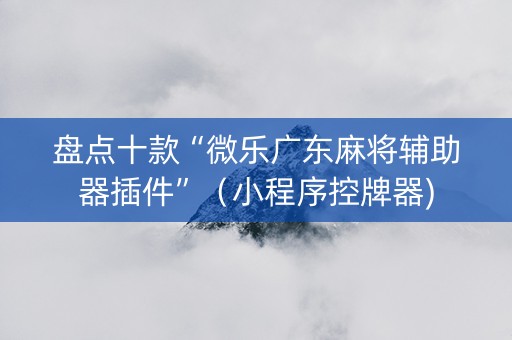 盘点十款“微乐广东麻将辅助器插件”（小程序控牌器)