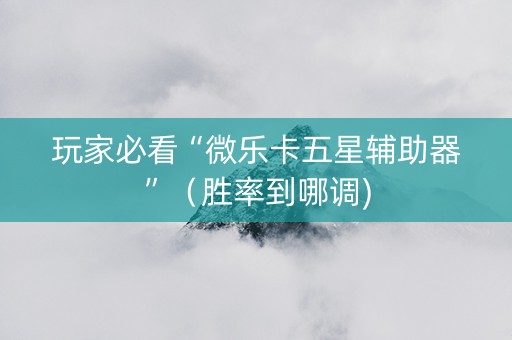 玩家必看“微乐卡五星辅助器”（胜率到哪调)