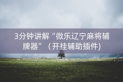 3分钟讲解“微乐辽宁麻将辅牌器”（开挂辅助插件)