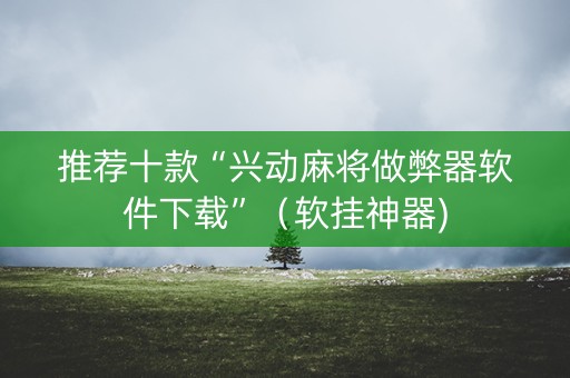 推荐十款“兴动麻将做弊器软件下载”（软挂神器)
