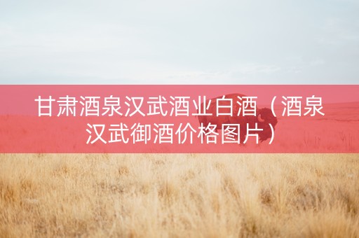 甘肃酒泉汉武酒业白酒（酒泉汉武御酒价格图片）