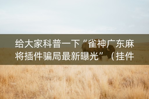 给大家科普一下“雀神广东麻将插件骗局最新曝光”（挂件神器)