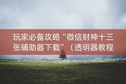 玩家必备攻略“微信财神十三张辅助器下载”（透明器教程)