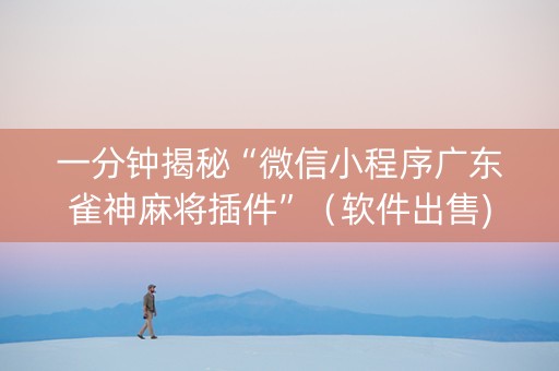 一分钟揭秘“微信小程序广东雀神麻将插件”（软件出售)
