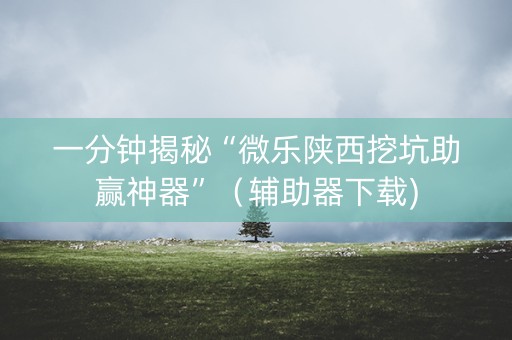 一分钟揭秘“微乐陕西挖坑助赢神器”（辅助器下载)