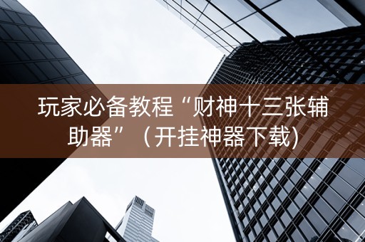 玩家必备教程“财神十三张辅助器”（开挂神器下载)