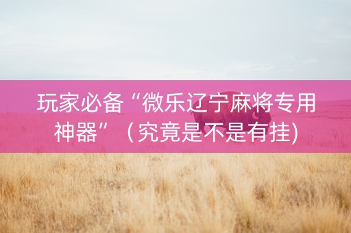 玩家必备“微乐辽宁麻将专用神器”（究竟是不是有挂)