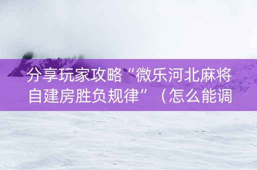 分享玩家攻略“微乐河北麻将自建房胜负规律”（怎么能调好牌)