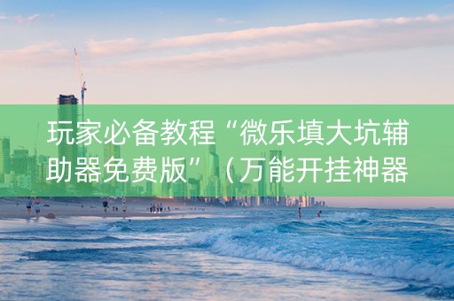 玩家必备教程“微乐填大坑辅助器免费版”（万能开挂神器)