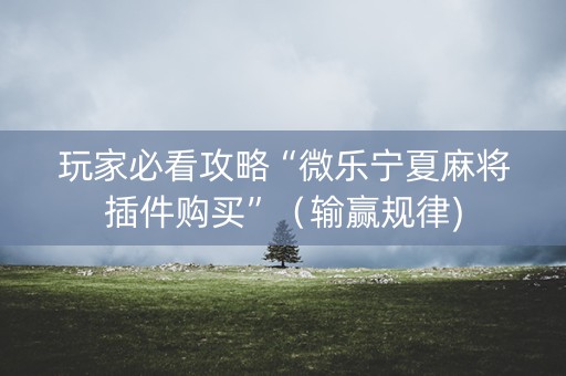 玩家必看攻略“微乐宁夏麻将插件购买”（输赢规律)