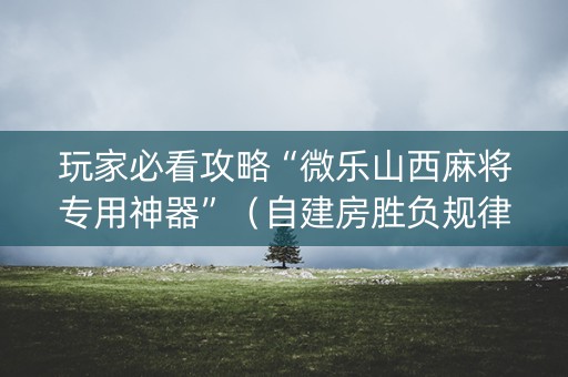玩家必看攻略“微乐山西麻将专用神器”（自建房胜负规律)