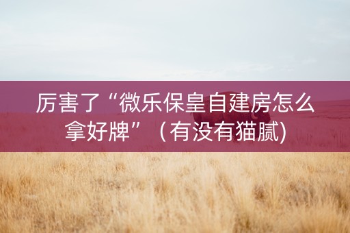 厉害了“微乐保皇自建房怎么拿好牌”（有没有猫腻)