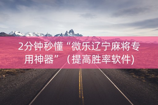 2分钟秒懂“微乐辽宁麻将专用神器”（提高胜率软件)