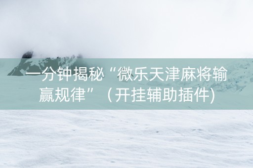 一分钟揭秘“微乐天津麻将输赢规律”（开挂辅助插件)