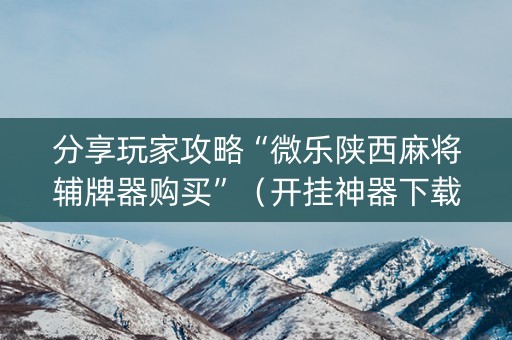 分享玩家攻略“微乐陕西麻将辅牌器购买”（开挂神器下载)