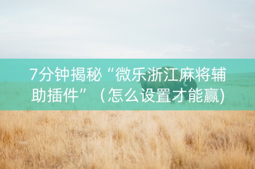 7分钟揭秘“微乐浙江麻将辅助插件”（怎么设置才能赢)
